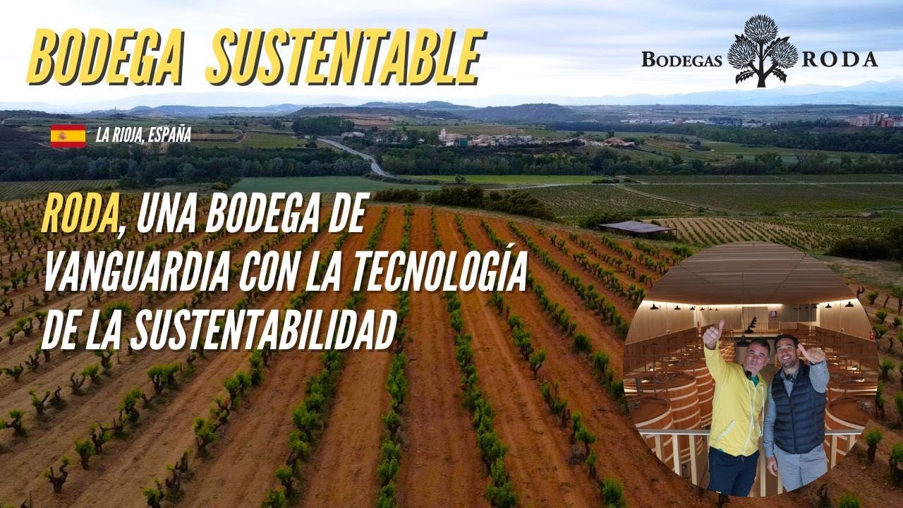 RODA, la bodega que busca la PERFECCI&Oacute;N con su TECNOLOG&Iacute;A y elabora VINOS INCRE&Iacute;BLES en RIOJA-ESPA&Ntilde;A