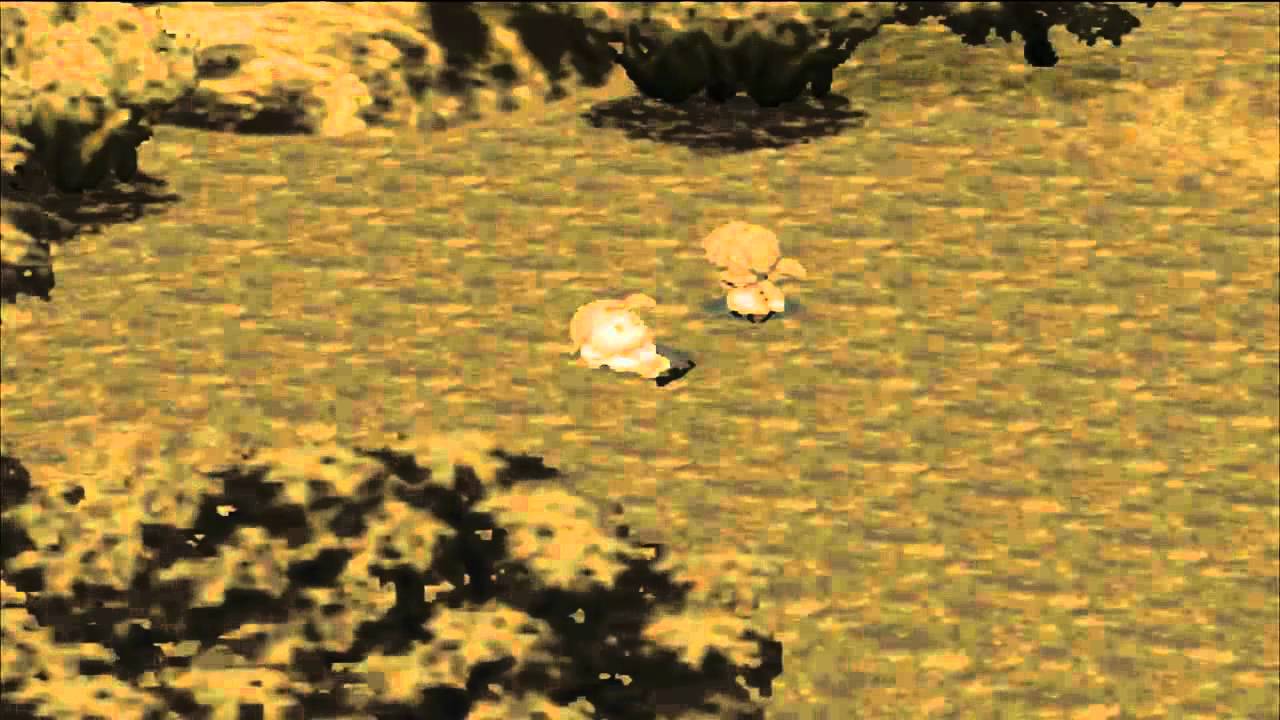 Harvest Moon: Back to Nature - Intro |