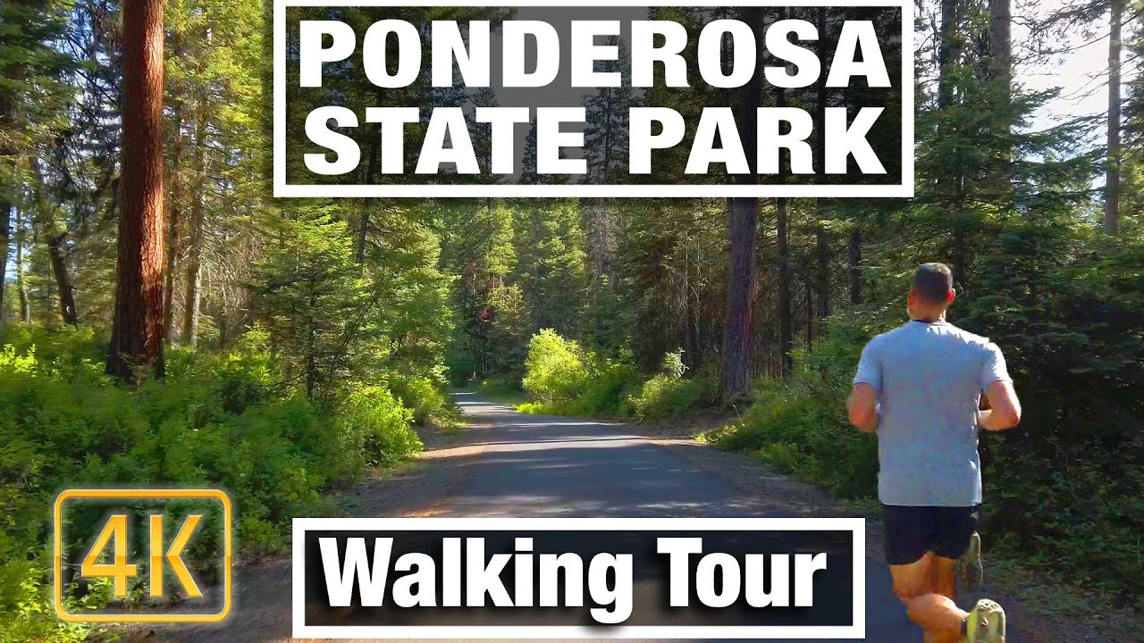 4K City Walks - Ponderosa State Park Hike Idaho - Virtual Walking Trails for Treadmill Scenery