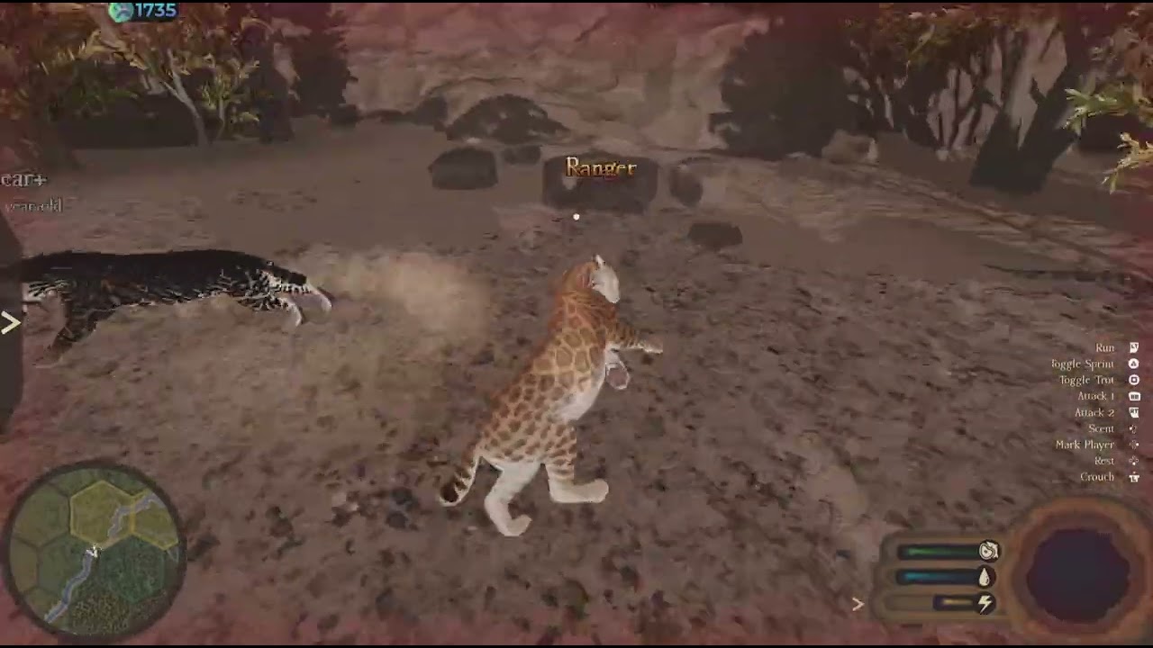 How long Can I survival as a saber