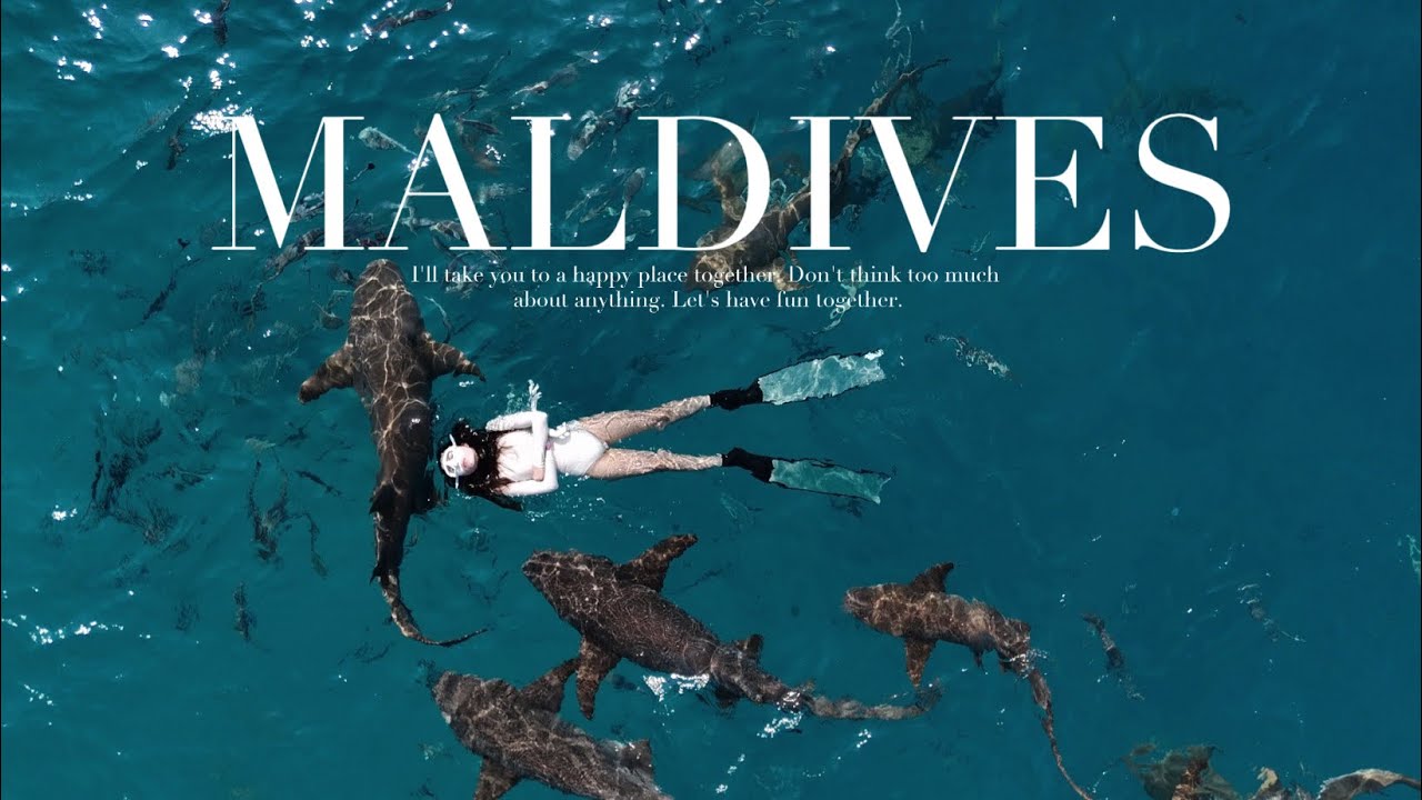 My Story EP.43 | vlog maldives ดำน้ำกับฉลาม/โลมา/เรือจม กินข้าวเที่ยงที่ sandbank perfect trip✨🏊🏻‍♀️