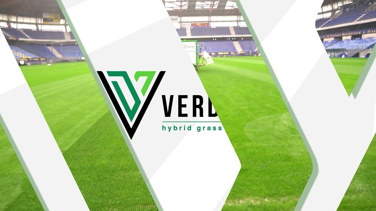 Limonta Sport Verdemix : hybrid grass solution