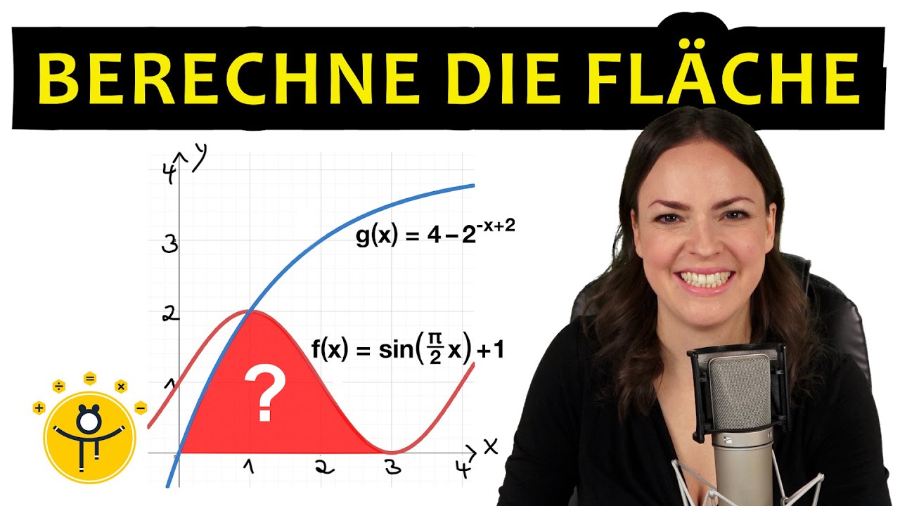 Mathe ABITUR – Analysis, Integrale