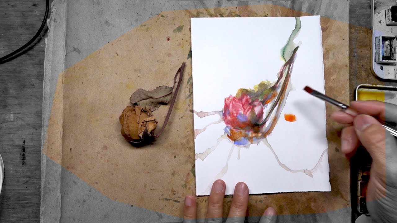 PROCESS: Daily Rose Watercolour Painting DAY 3345 (20241004FRI)