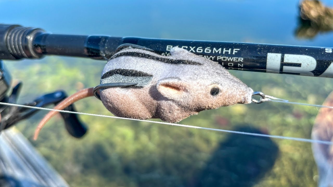 Do Bass Eat Chipmunks???