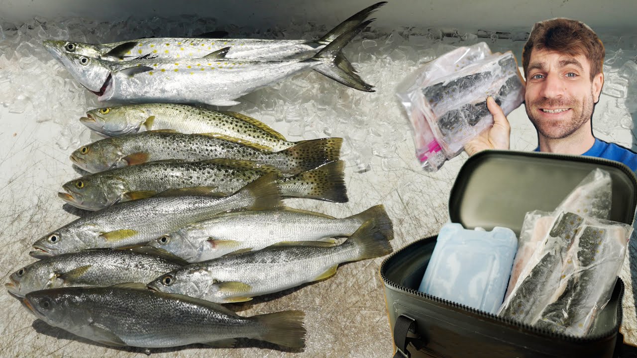 How To Fly On A Plane With Fish You Caught