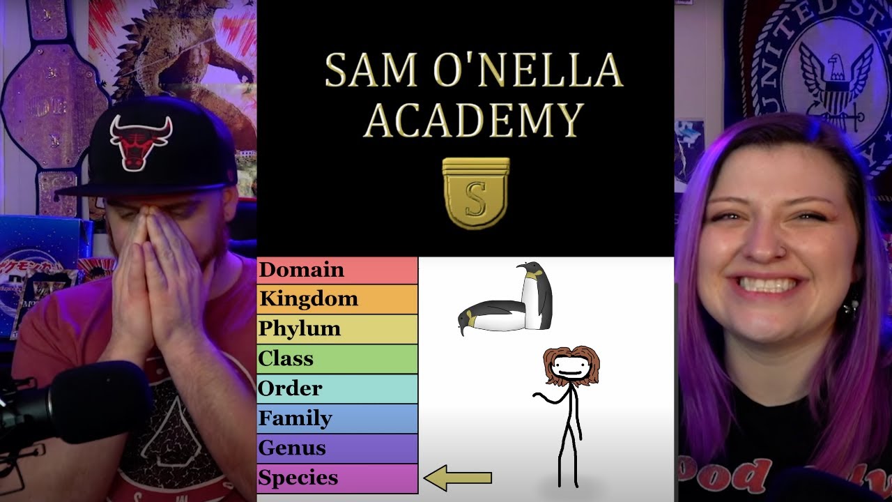 «Откуда взялись научные названия животных» @SamONellaAcademy | Реакция HatGuy и Никки