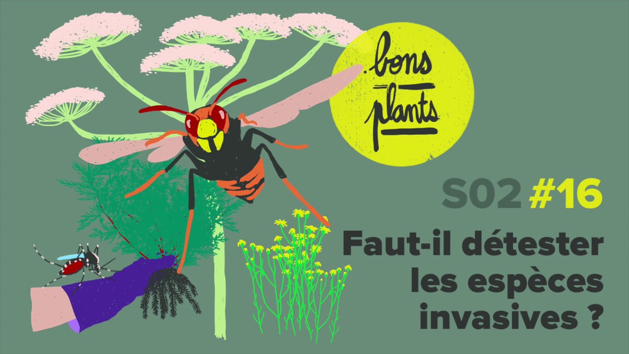 Faut-il détester les espèces invasives ?