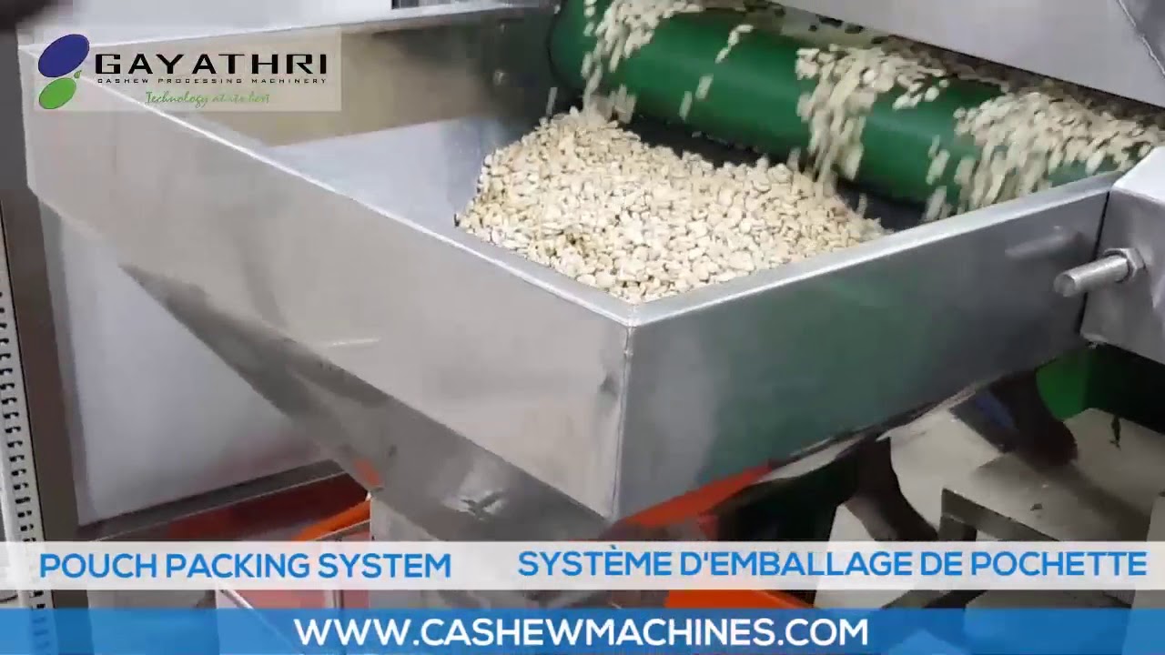 Automatic and Manual Cashew Nut Pouch Packing Systems