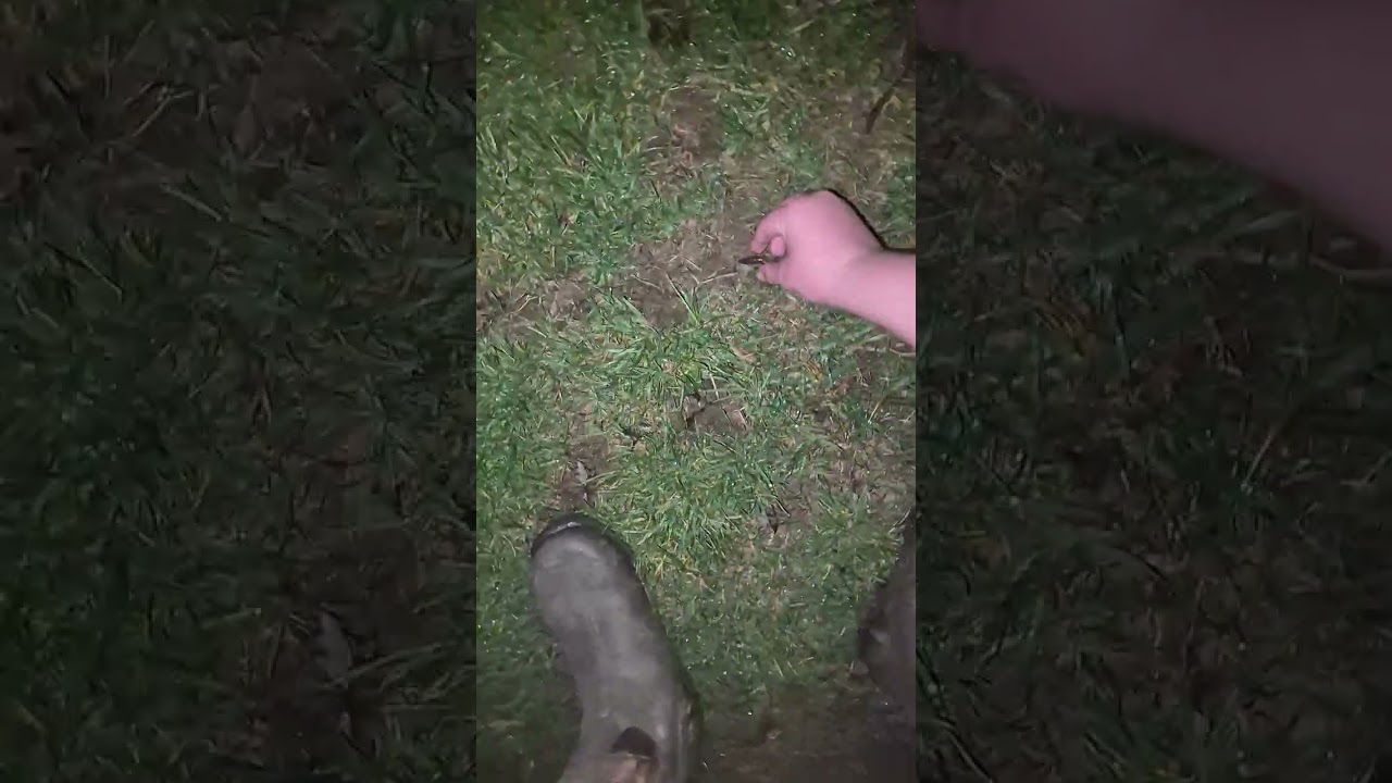 Worm breeding??????