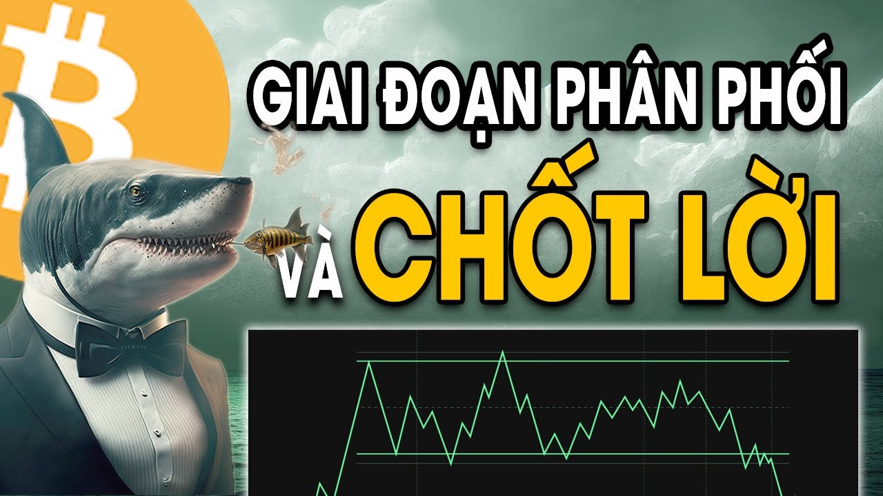 Hiểu Rõ Hơn Về Giai Đoạn Phân Phối và Chốt Lời Của Cá Mập || Tuệ Trading