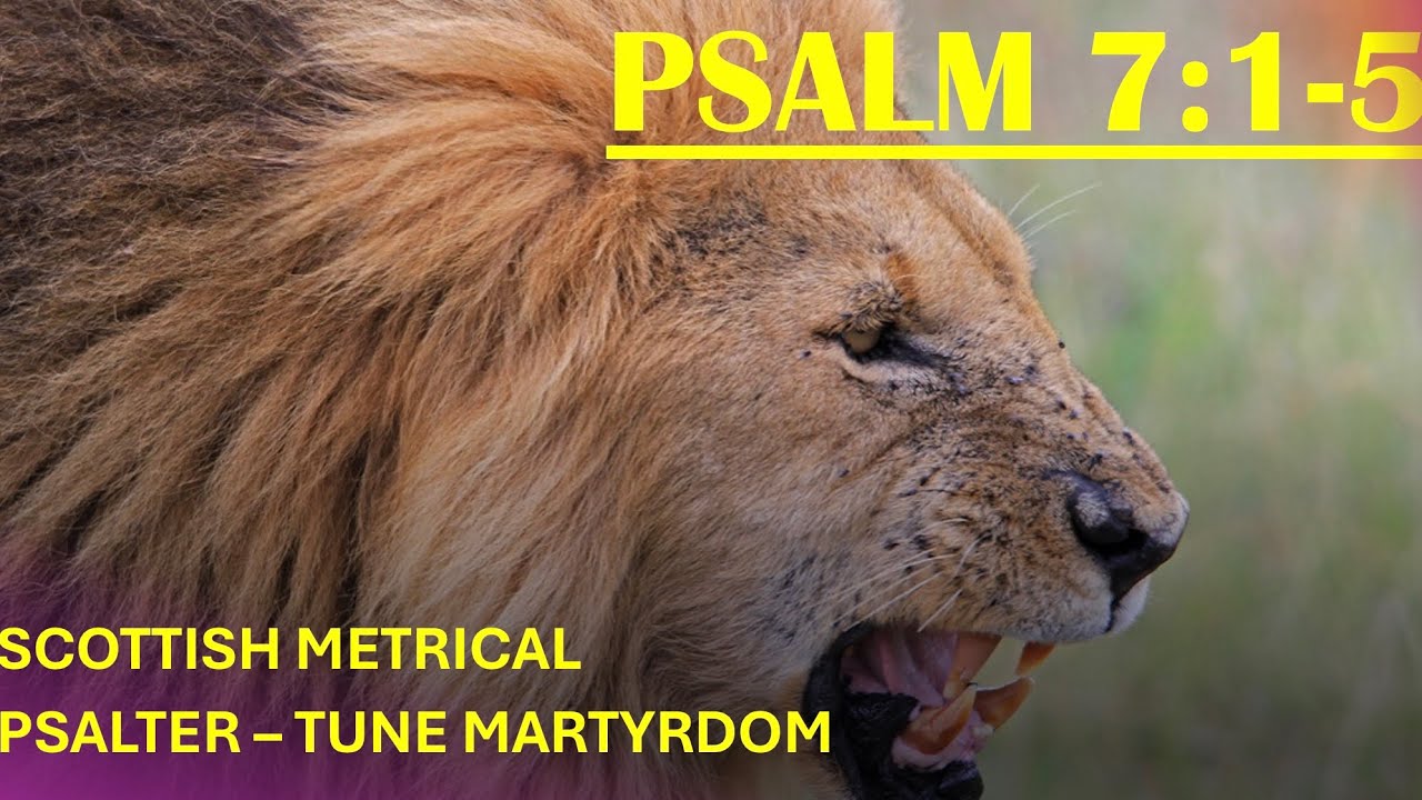 Scottish Metrical Psalter 1650 Psalm 7:1-5 - Tune Martyrdom | Psalm Singing
