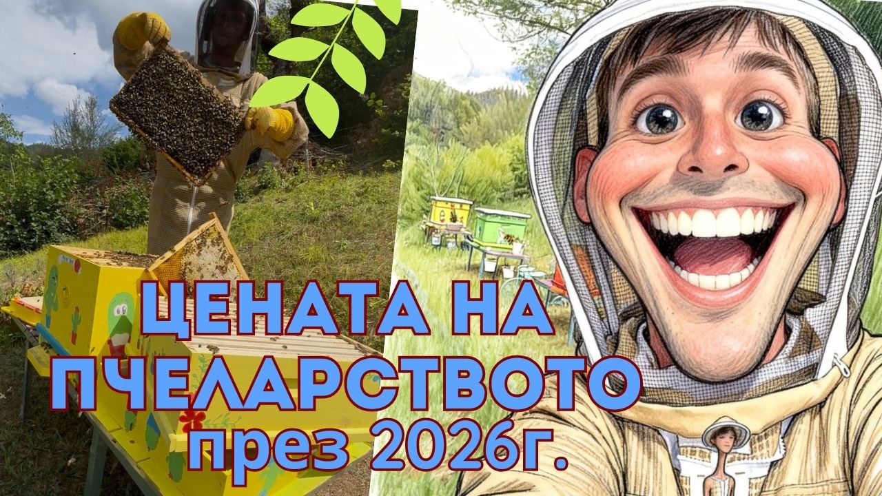 Колко струва да започнеш пчеларство през 2026? (реален опит)