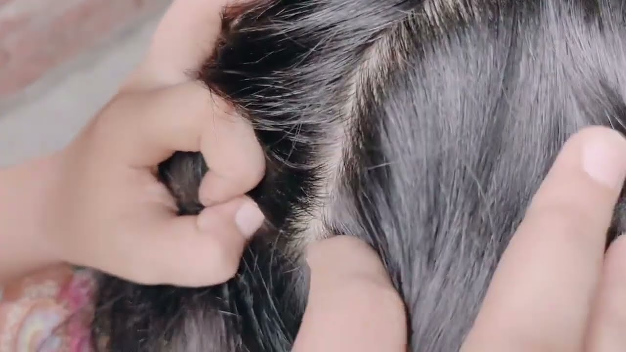 Api Noor did API aqsa hair checking