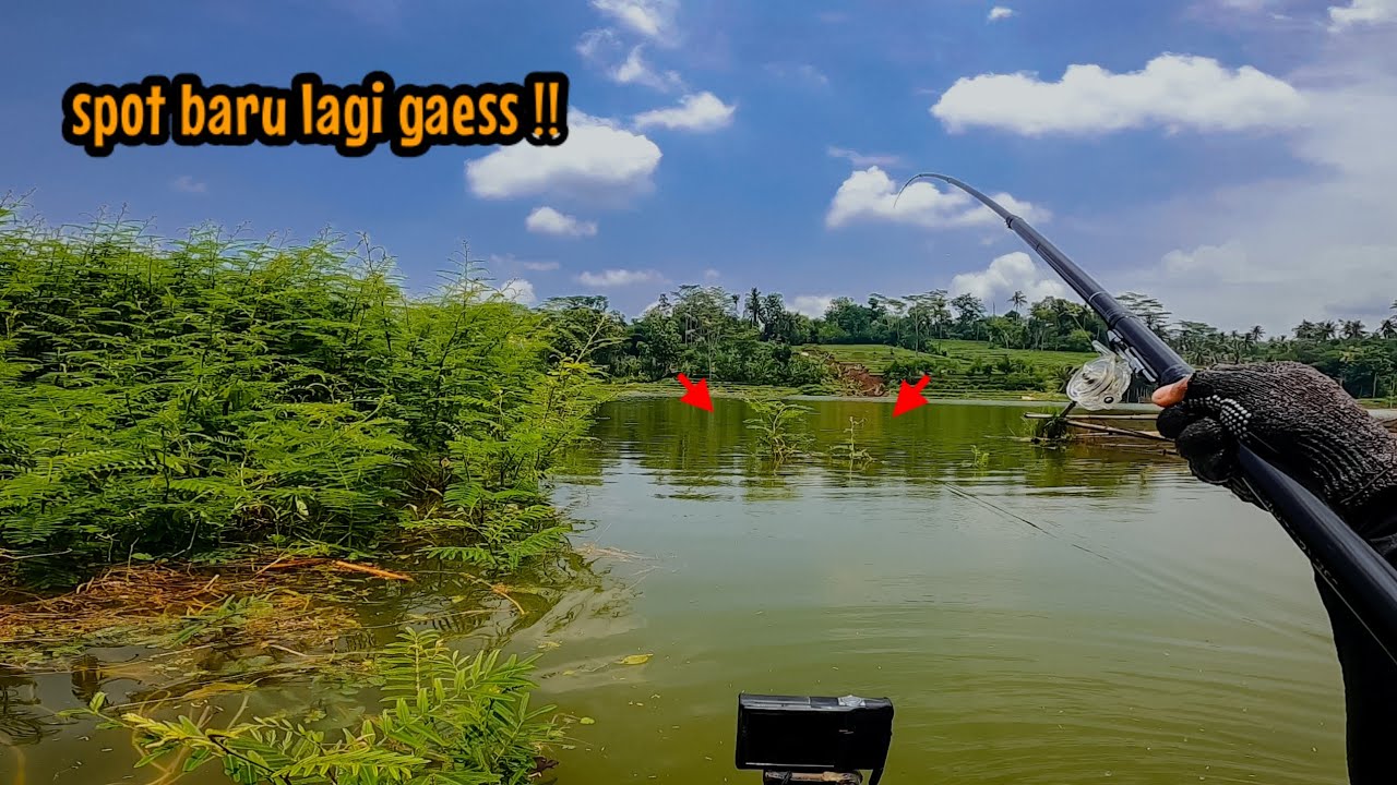 SPOT BARU LAGI DONK ‼️ IDOLA PARA PEMANCING NILA || mancing ikan nila di waduk lahor