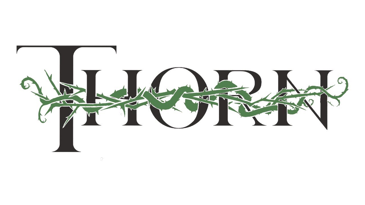 Комментарии к основным правилам THORN