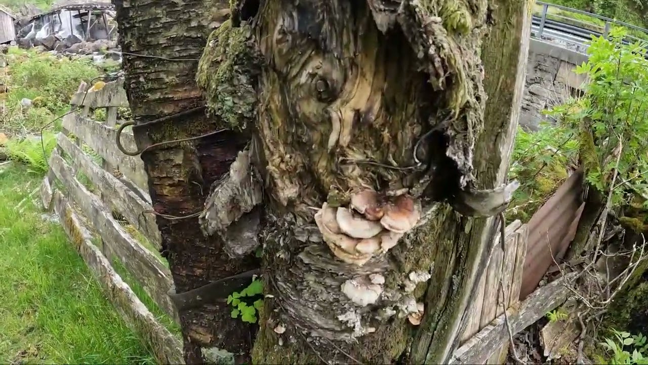 31 mei 2023 richting Bergen  Prachtige route.