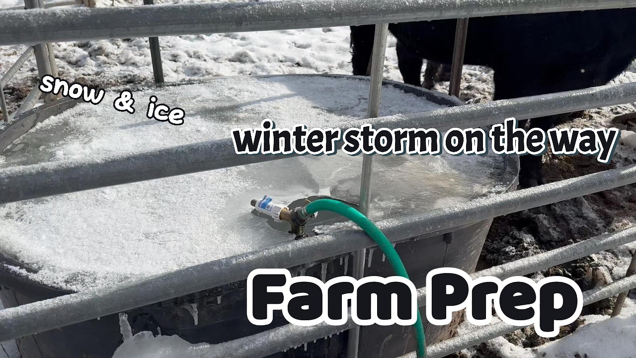 Winter Storm on the way! Farm Prep!