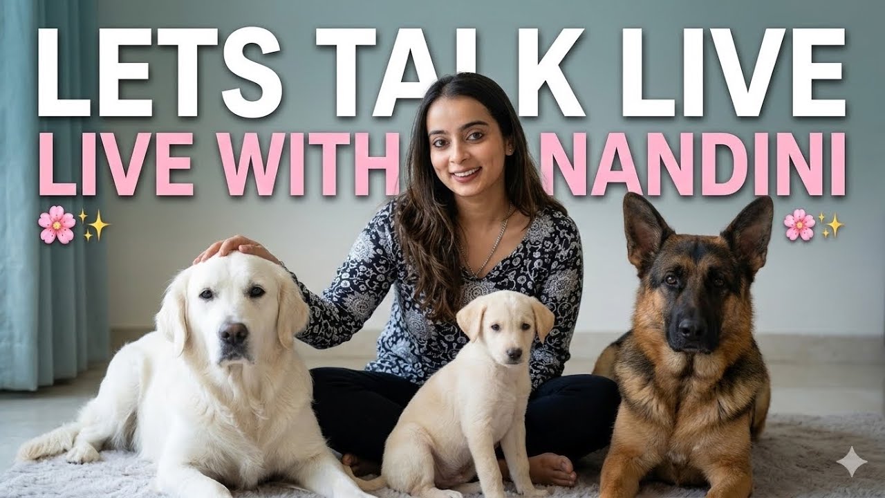 Nandini’s Frames🎀 is live