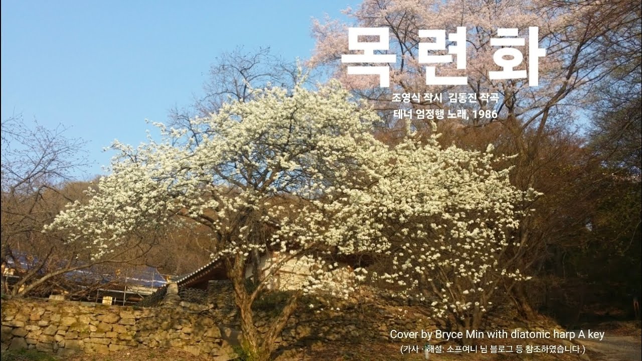 목련화, 조영식 작시  김동진 작곡  테너 엄정행의 노래, Cover by Bryce Min with diatonic harp A 