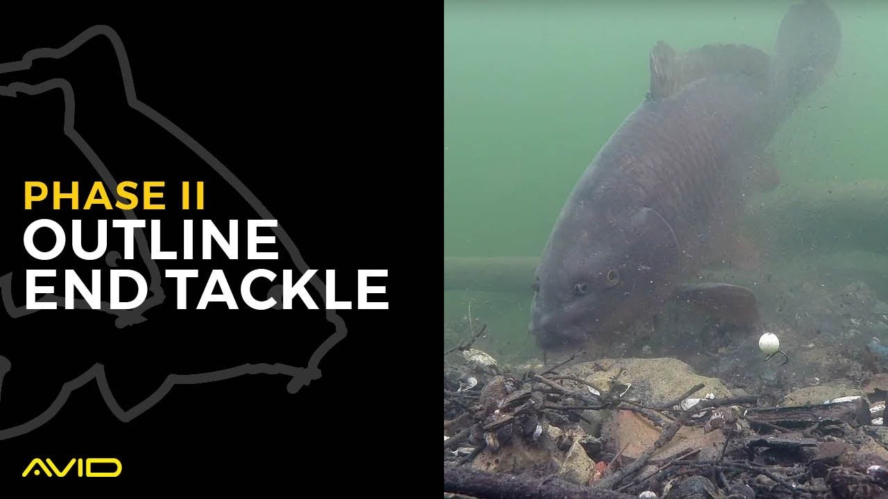AVID CARP- Outline End Tackle, Phase 2