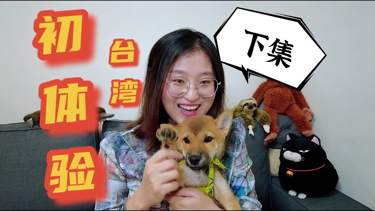 大陸媳婦在台灣生活的初體驗（下集），生活习惯和文化差异，繁體字大考驗大陸人竟然不識字了？台灣的基建被大陸狠狠趕超？毛小孩的天堂？台灣身份證看起來很沒有安全感？台灣最美麗的風景 一只Beili看台灣