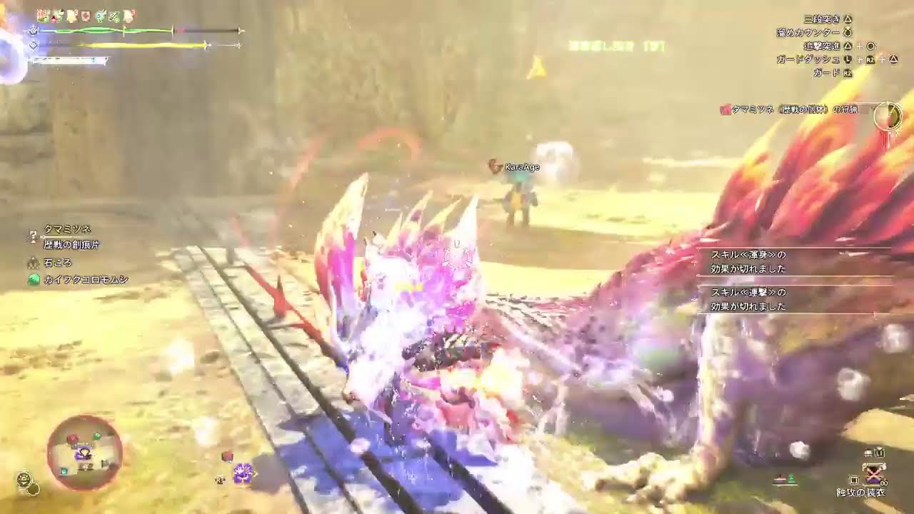 わいるど