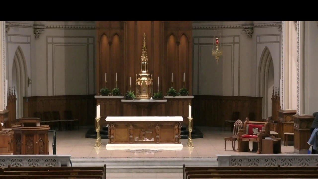 St Dominic Church Livestream