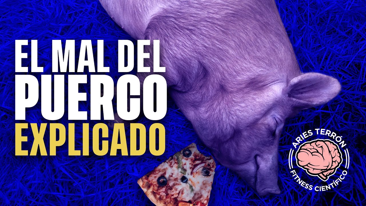 &iquest;Por qu&eacute; da SUE&Ntilde;O despu&eacute;s de COMER? - MAL DEL PUERCO EXPLICADO 🐷🍕