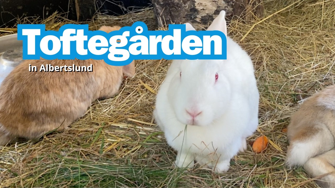 Toftegården in Albertslund