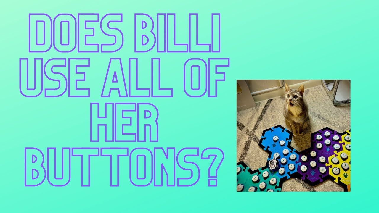 Does Billi Use All Of Her Buttons? | BilliSpeaks