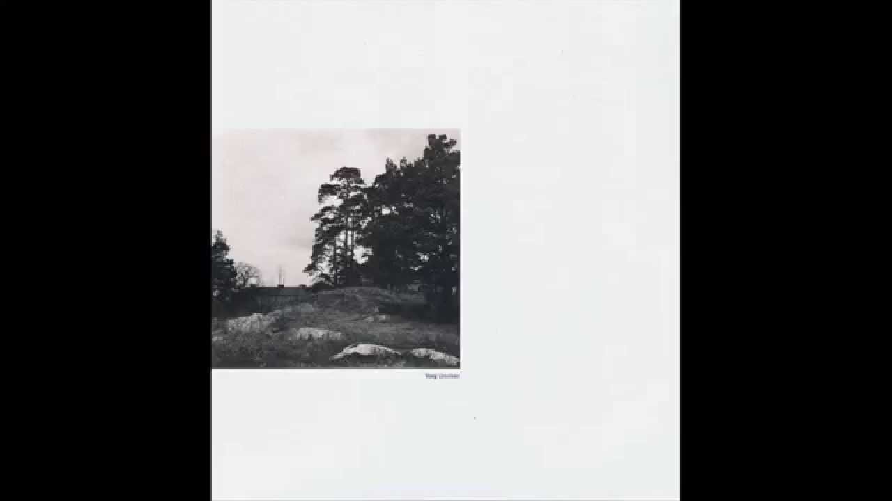 Varg - Asocial 46