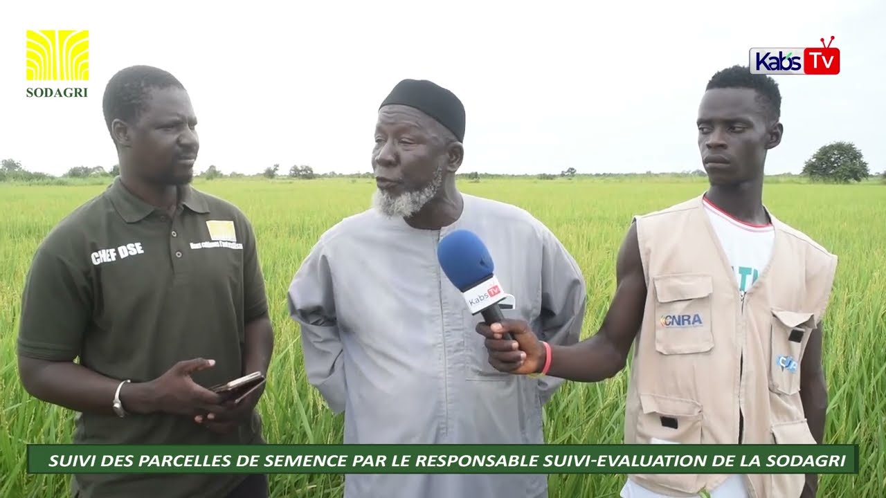Les grands producteurs de semences dans le bassin de l’Anambé