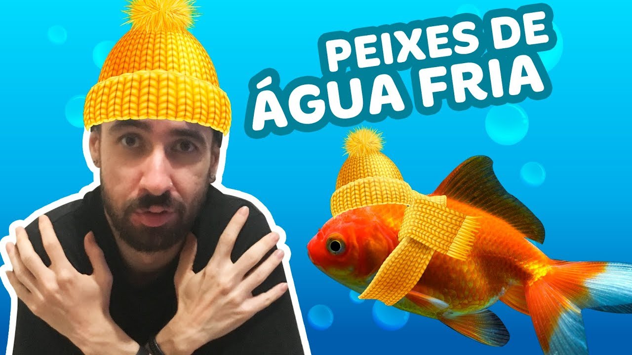 TOP 5: PEIXES DE ÁGUA FRIA