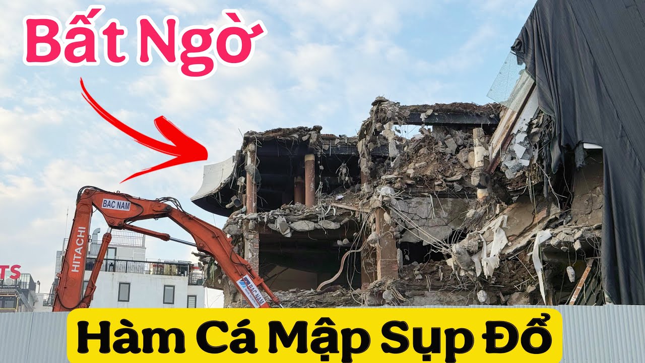 Hàm Cá Mập Sụp Đổ Trong Chớp Mắt Và Sự Tò Mò Của Du Khách