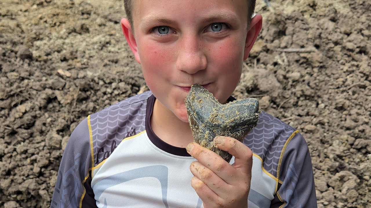 The Day the Internet Found a Meg, A Young Boy’s Discovery at Lightning Site!