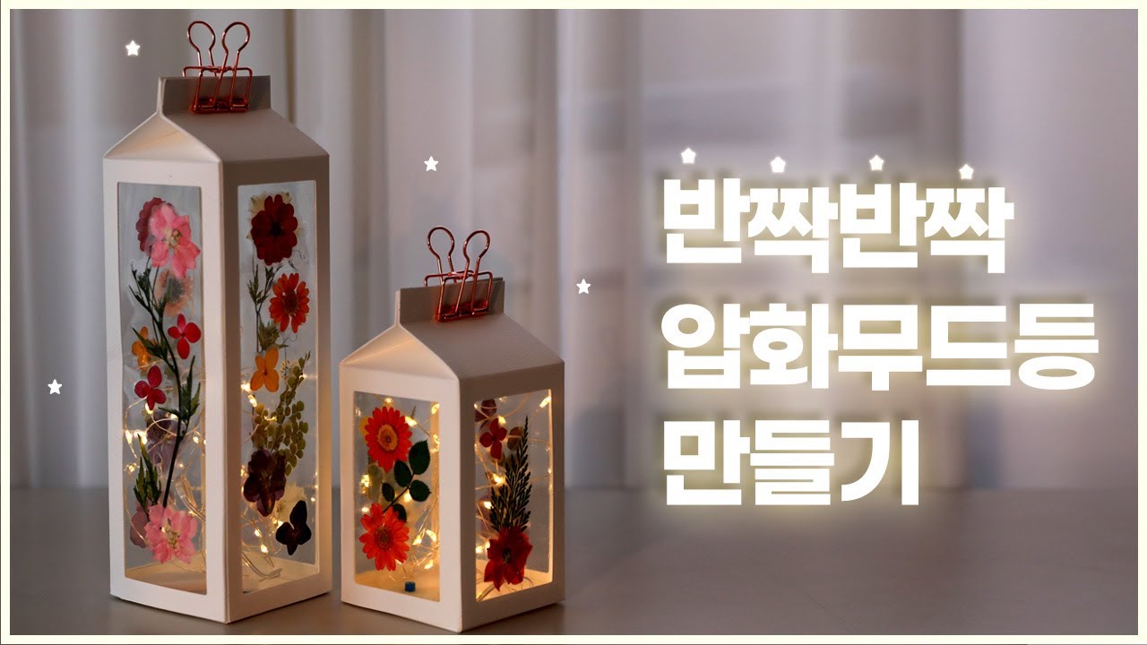 꽃으로 만드는 압화 무드등 만들기(with 라온가득한하루)