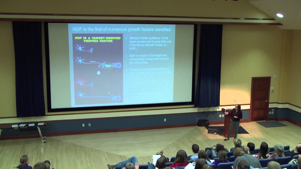 Dr. Frances Lefcort - Studying Neural Development Lecture
