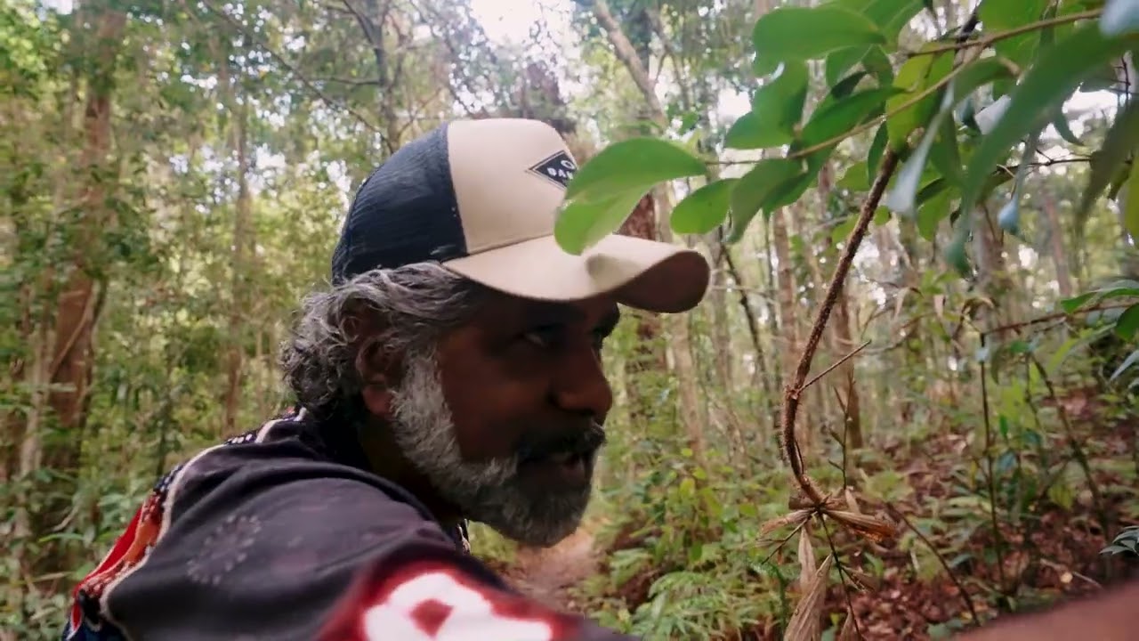 Lyndon Davis: Echoes of Wantima - A Gubbi Gubbi Storytelling Journey