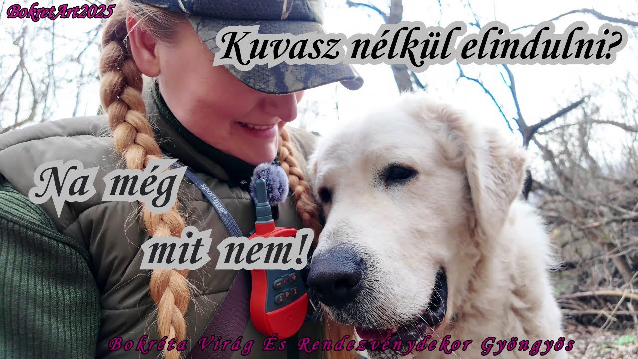 Túrázós videó egy gyönyörű kuvasszal
