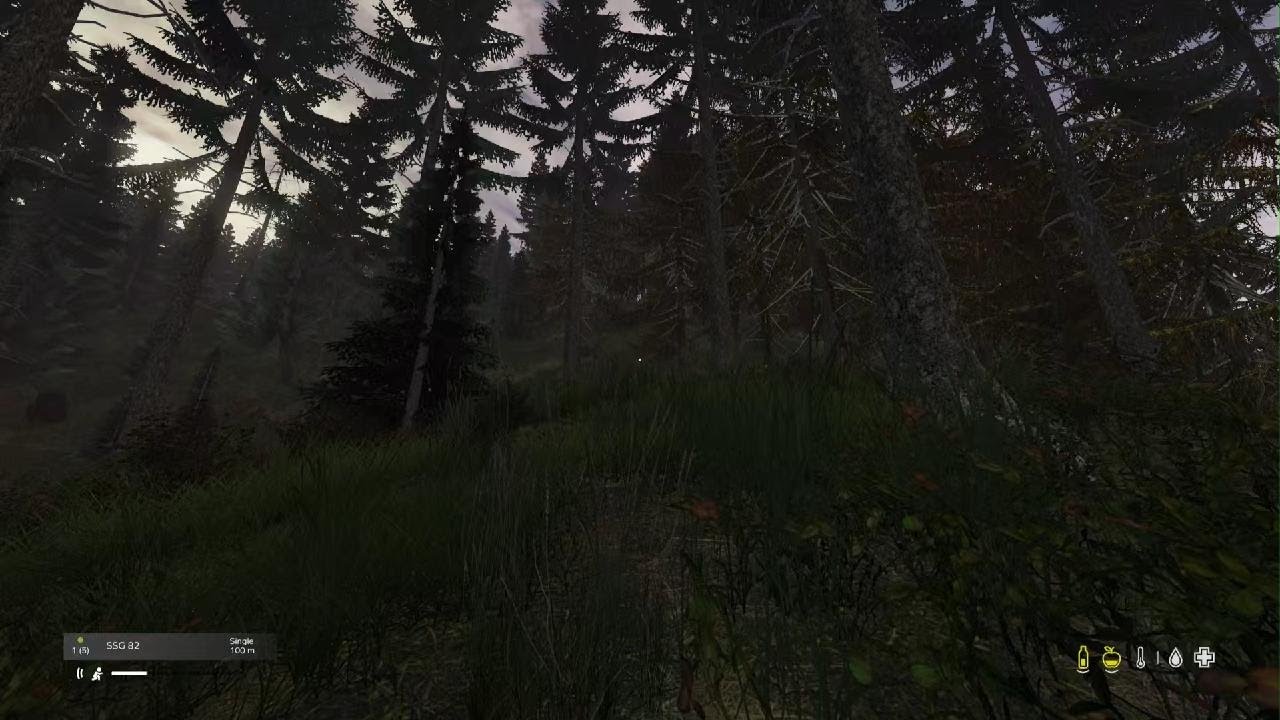 DayZ_20260209221902