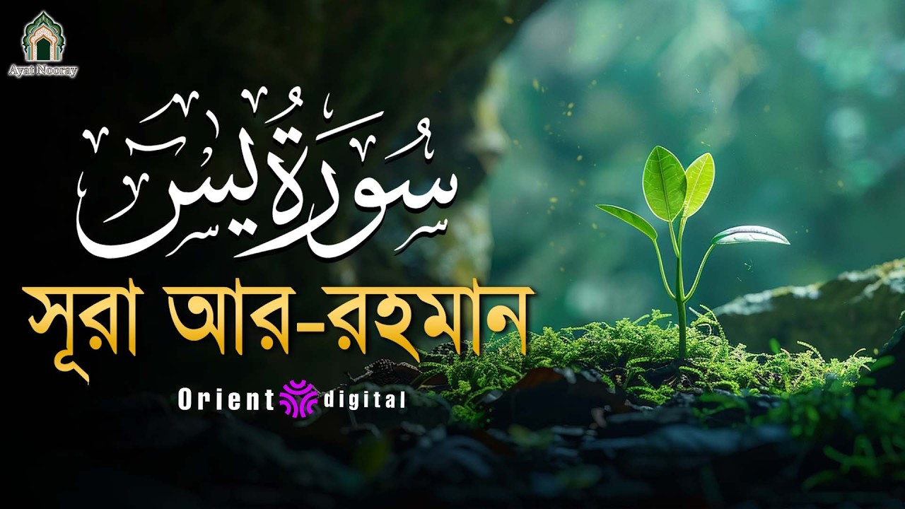 অন্তর শীতল করা সূরা ইয়াসিন এর তিলাওয়াত ┇ Surah Yasin Recited by Ragab Al Naggar
