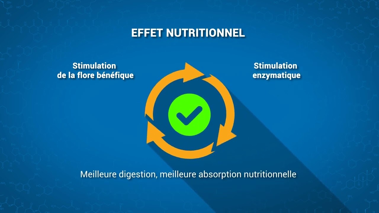 Vitacid®, alternative aux antibiotiques en élevage de porc | gamme d'acidifiants Vitalac