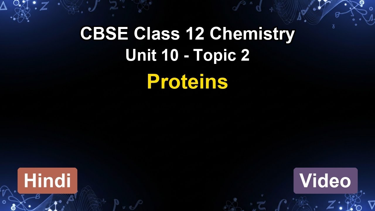 Unit 10 – Proteins | CBSE 12th Chemistry (Hindi) | The 5-Minute Teacher