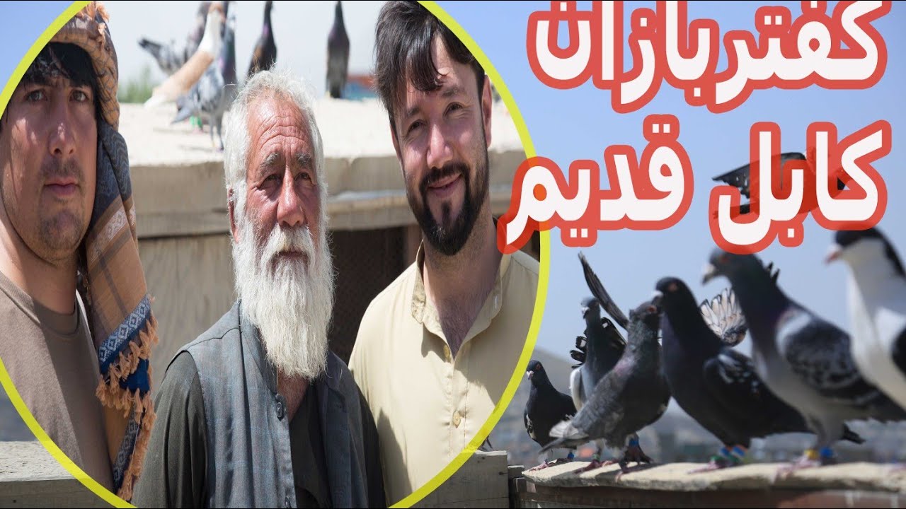 یک روز خوب با خلیفه کفتر بازان واصل آباد شهر کابل!