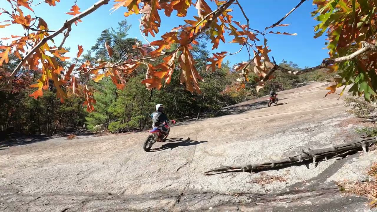 Get Down with Brown