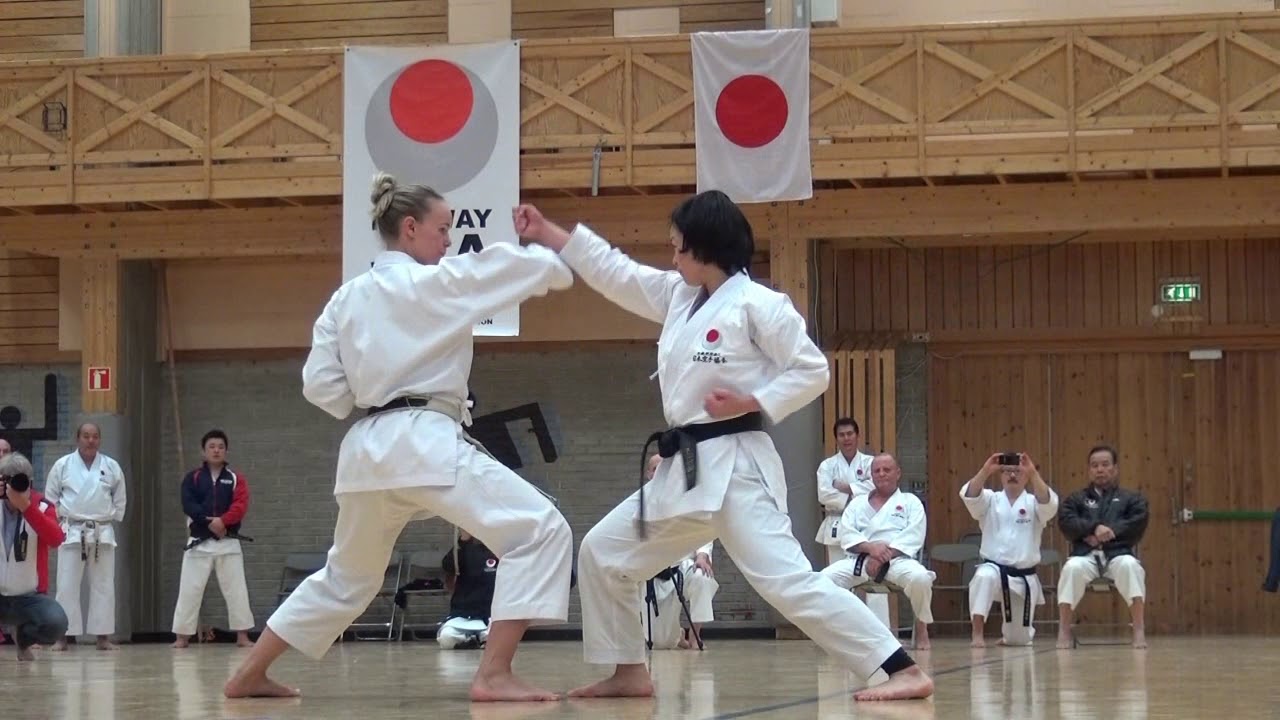2017-11-28 JKA Norway 30th Anniversary Gasshuku Presentation