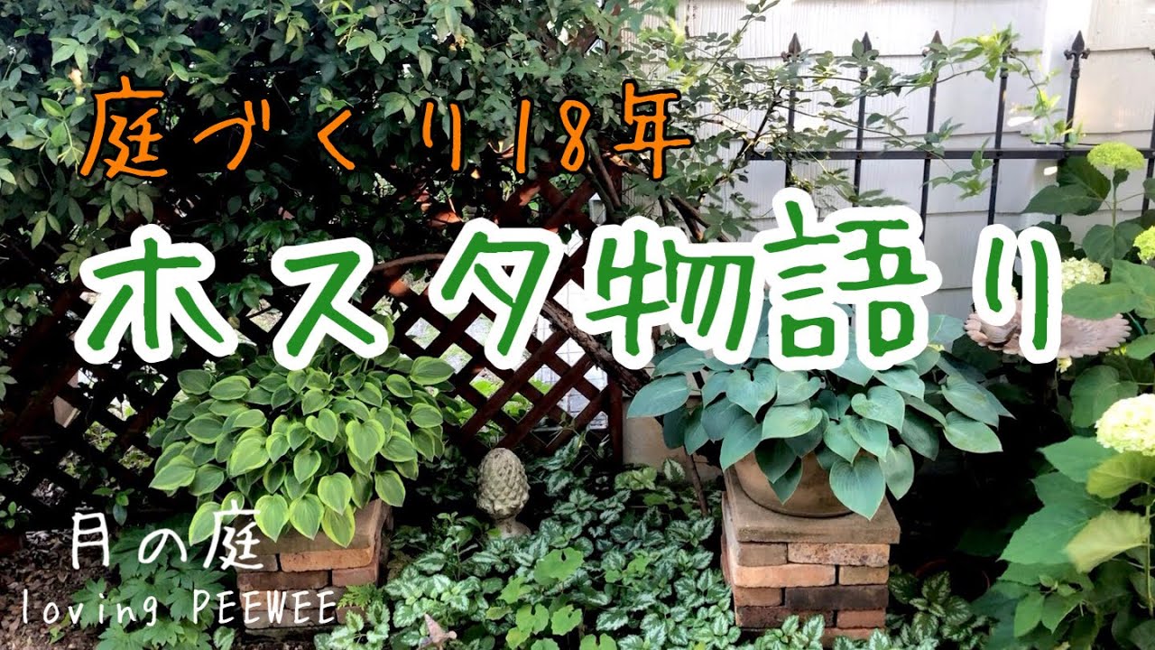 庭づくり18年　ホスタ物語り