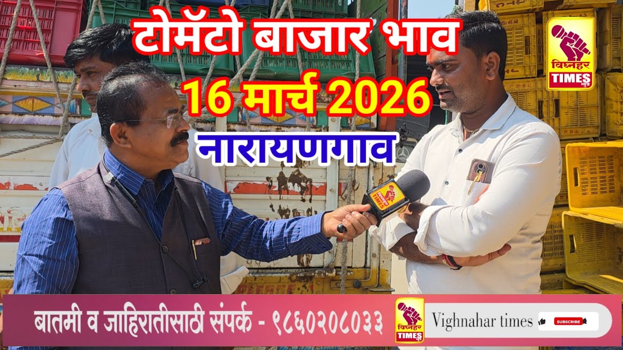 नारायणगाव टोमॅटो मार्केट l दि 16 मार्च 2026 रोजी पहा काय मिळाला बाजारभाब?