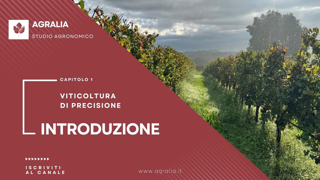 1 viticoltura di precisione: introduzione